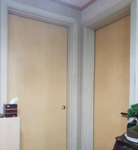 Puerta interior: antes